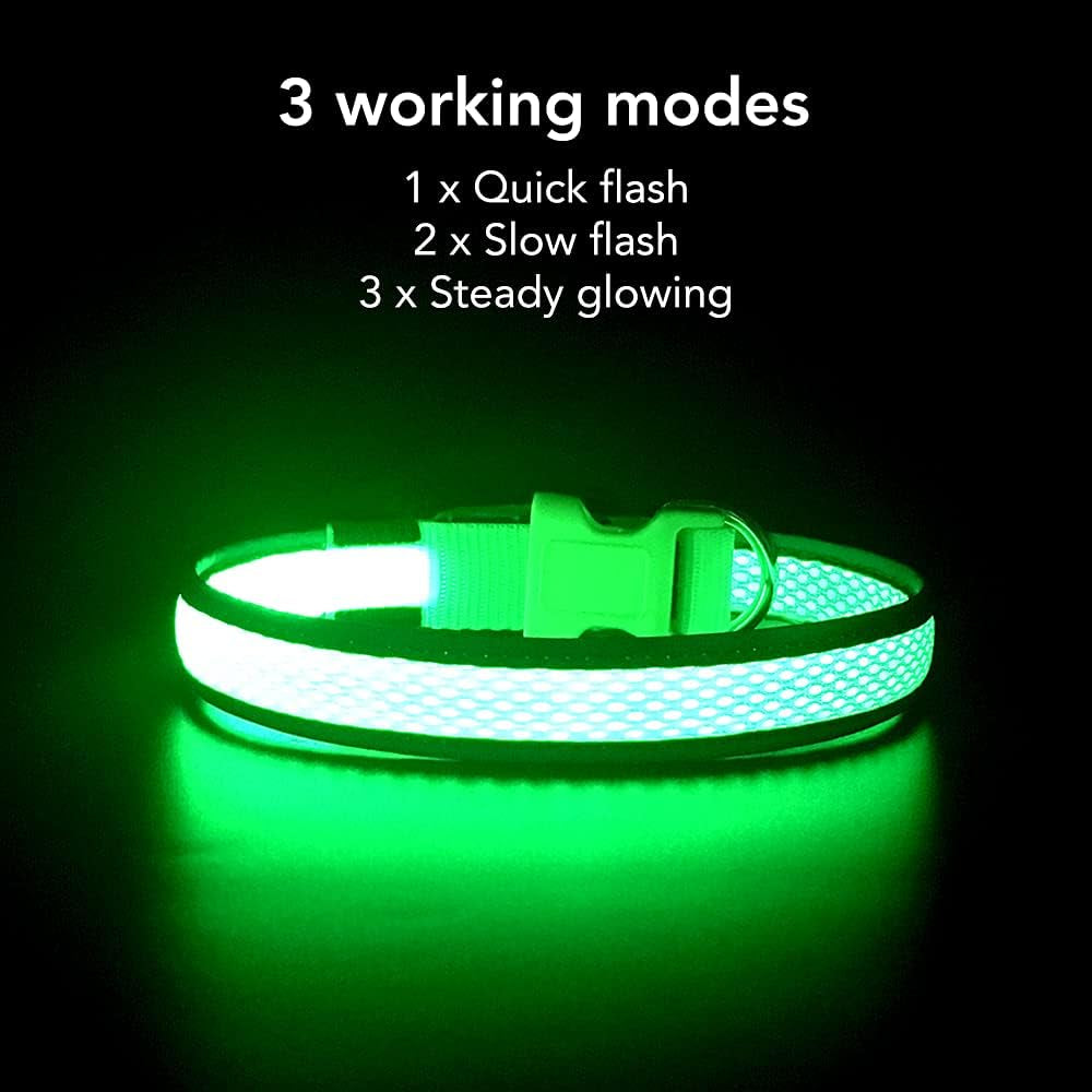 Light up Dog Collar