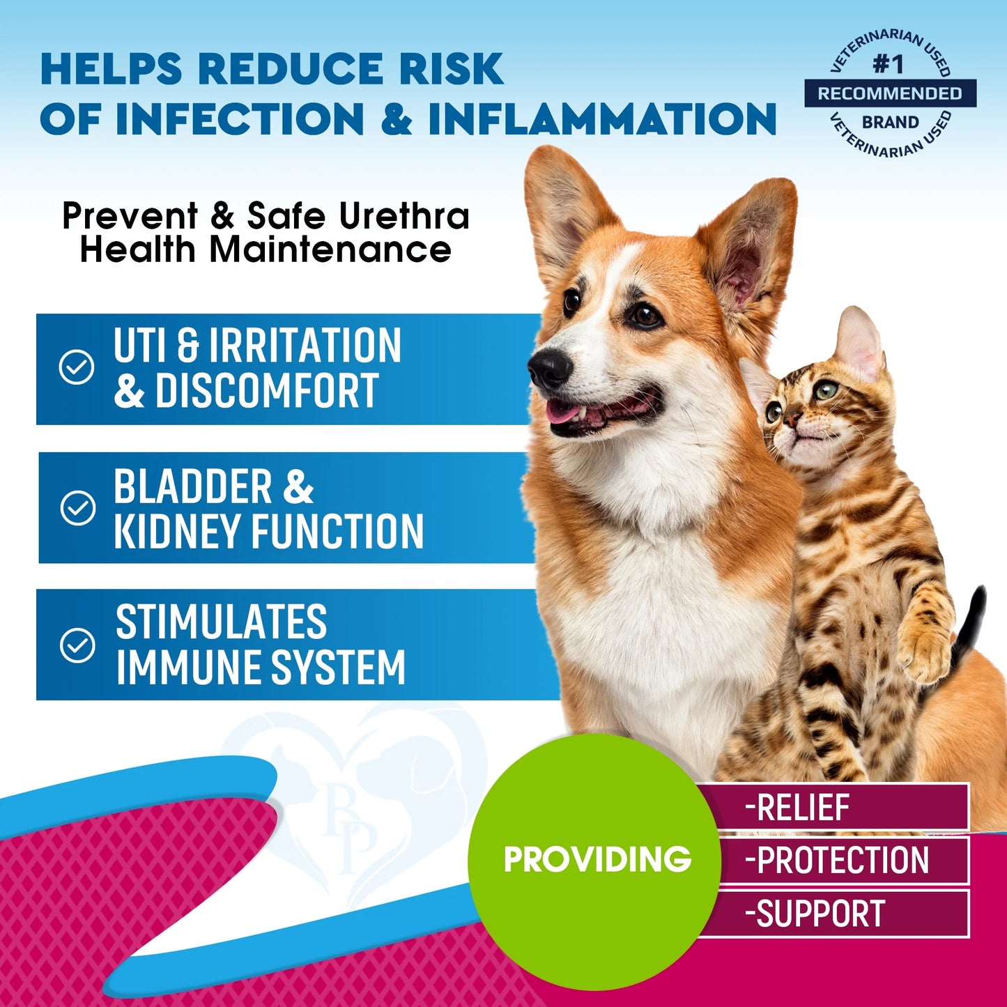Cat & Dog Urinary Tract Infection Treatment
