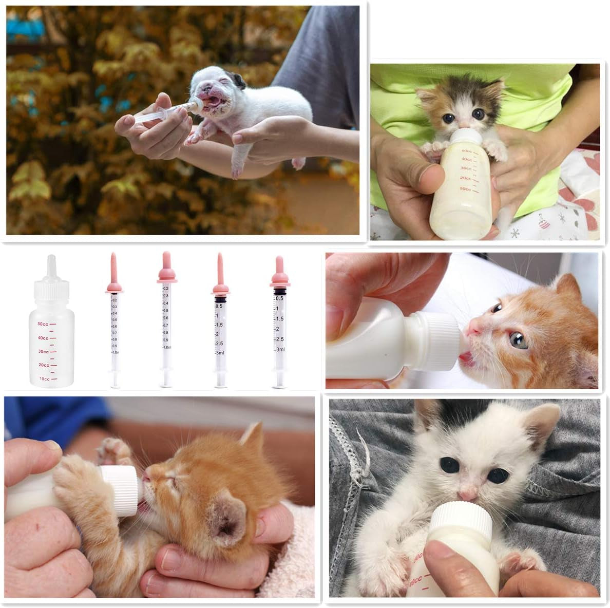 Pet Feeding Kit