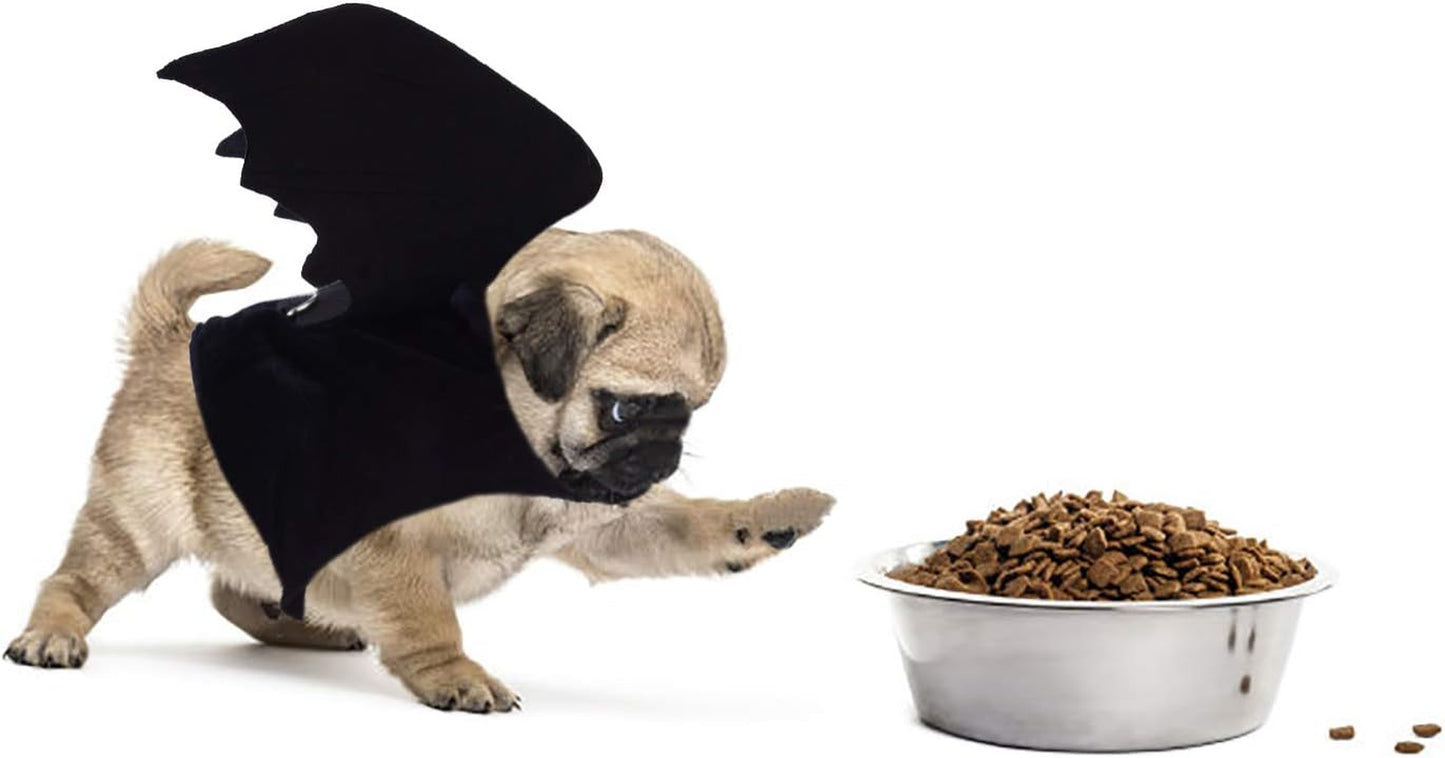 Bat Wings costume for Dogs