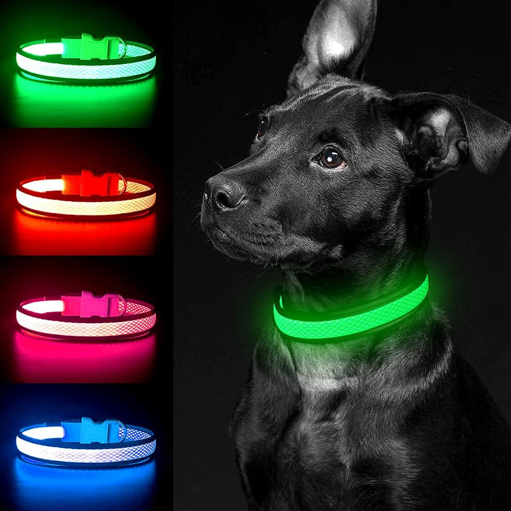 Light up Dog Collar