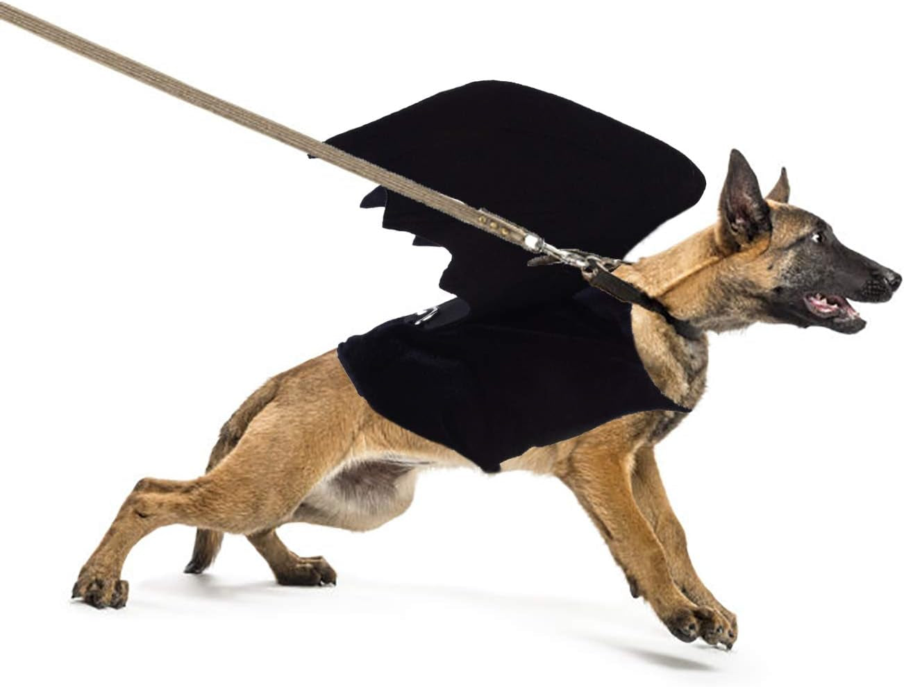 Bat Wings costume for Dogs