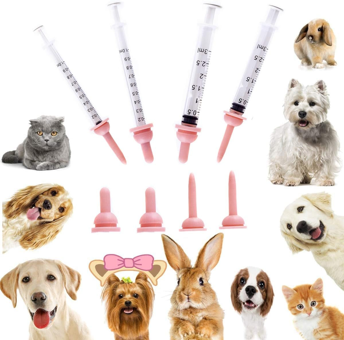 Pet Feeding Kit