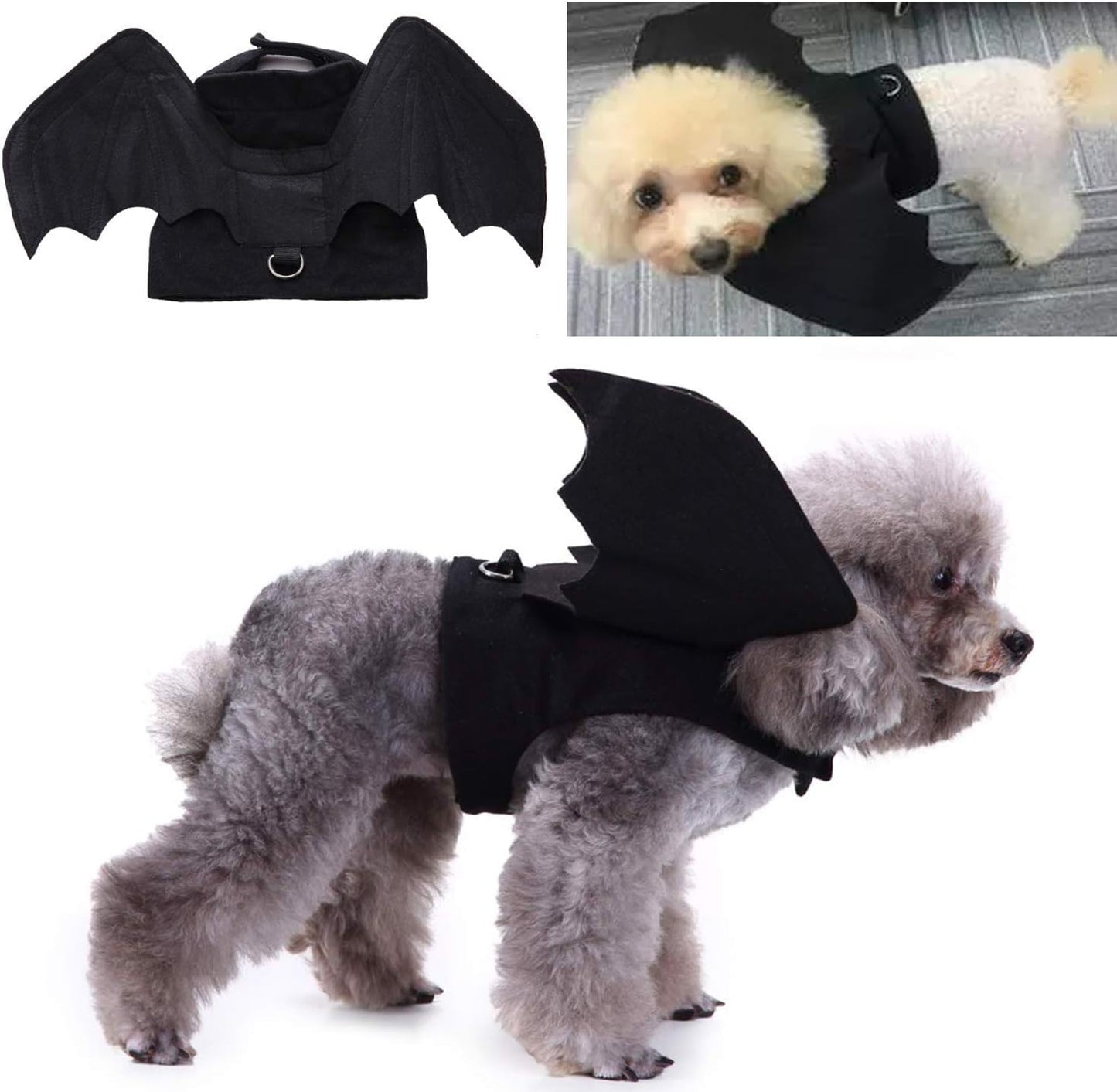 Bat Wings costume for Dogs
