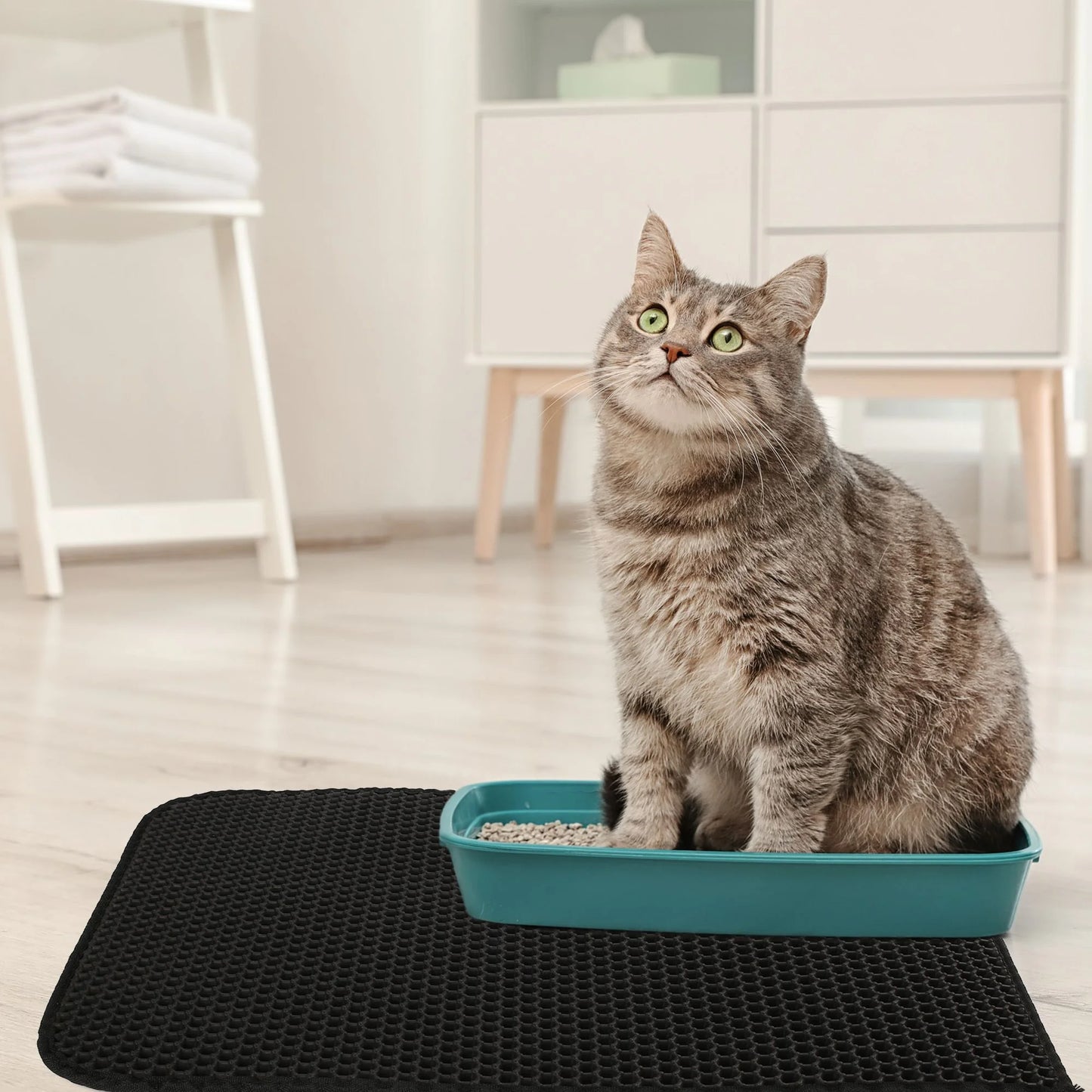 Double Layer Urine Waterproof Litter Mat