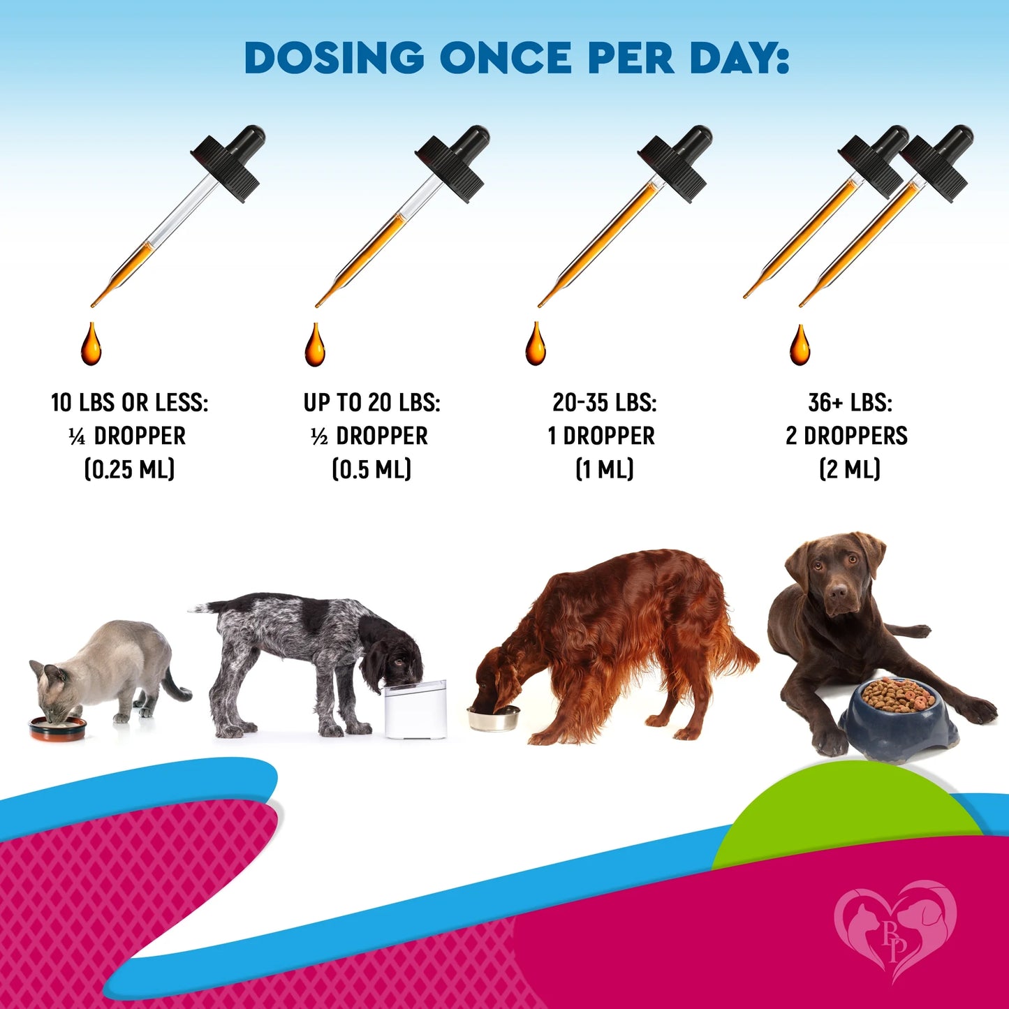 Cat & Dog Urinary Tract Infection Treatment