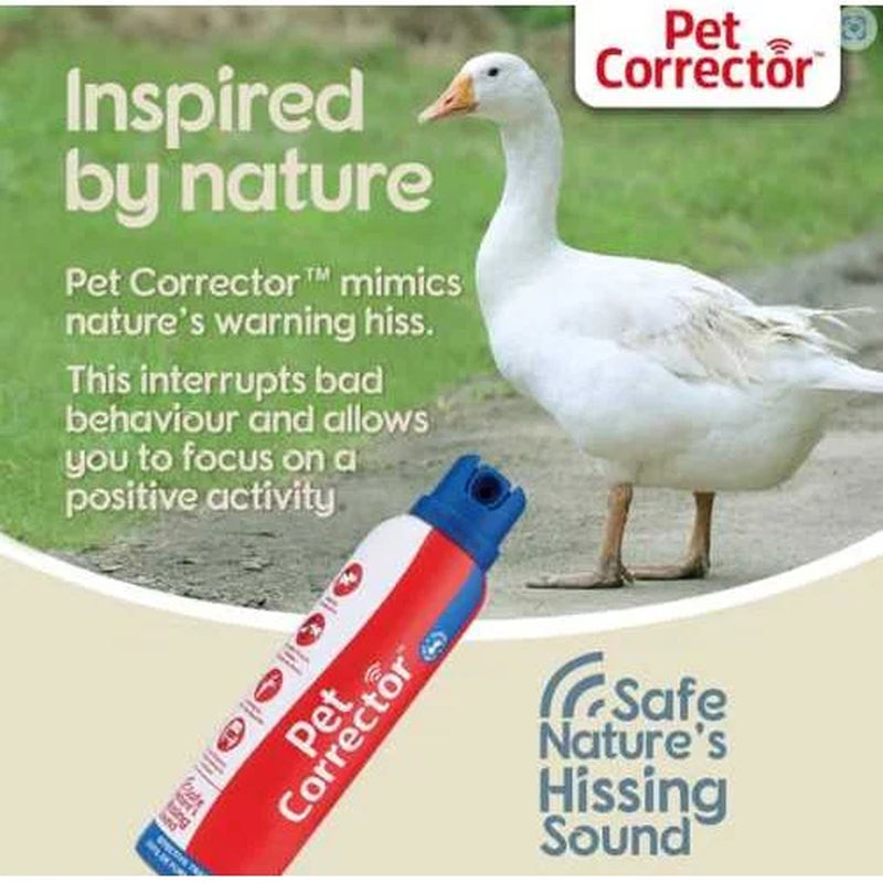 30Ml Pet Corrector