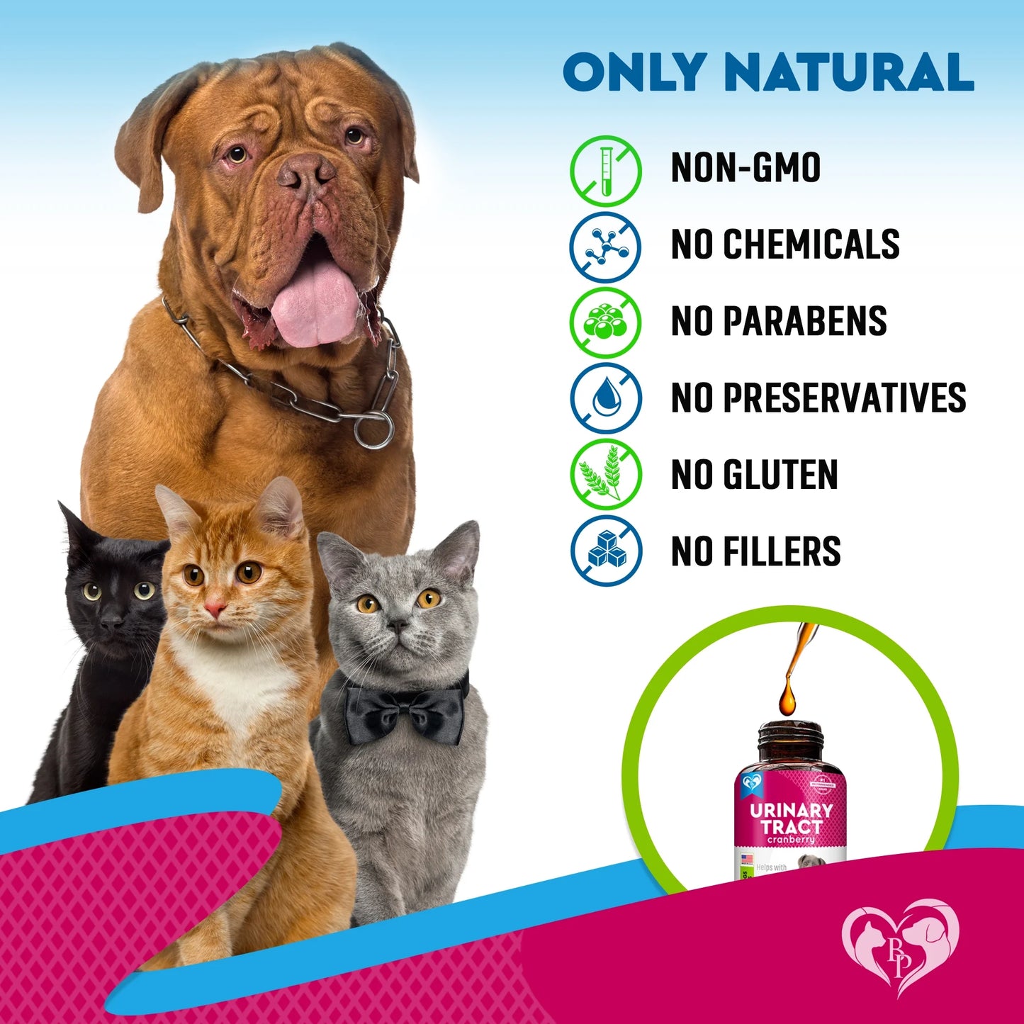 Cat & Dog Urinary Tract Infection Treatment