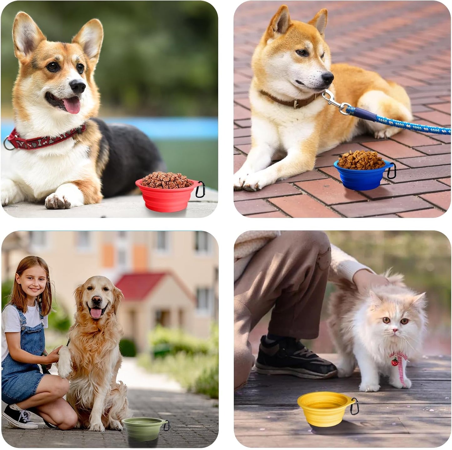 2-Pack Silicone Collapsible Dog Bowls