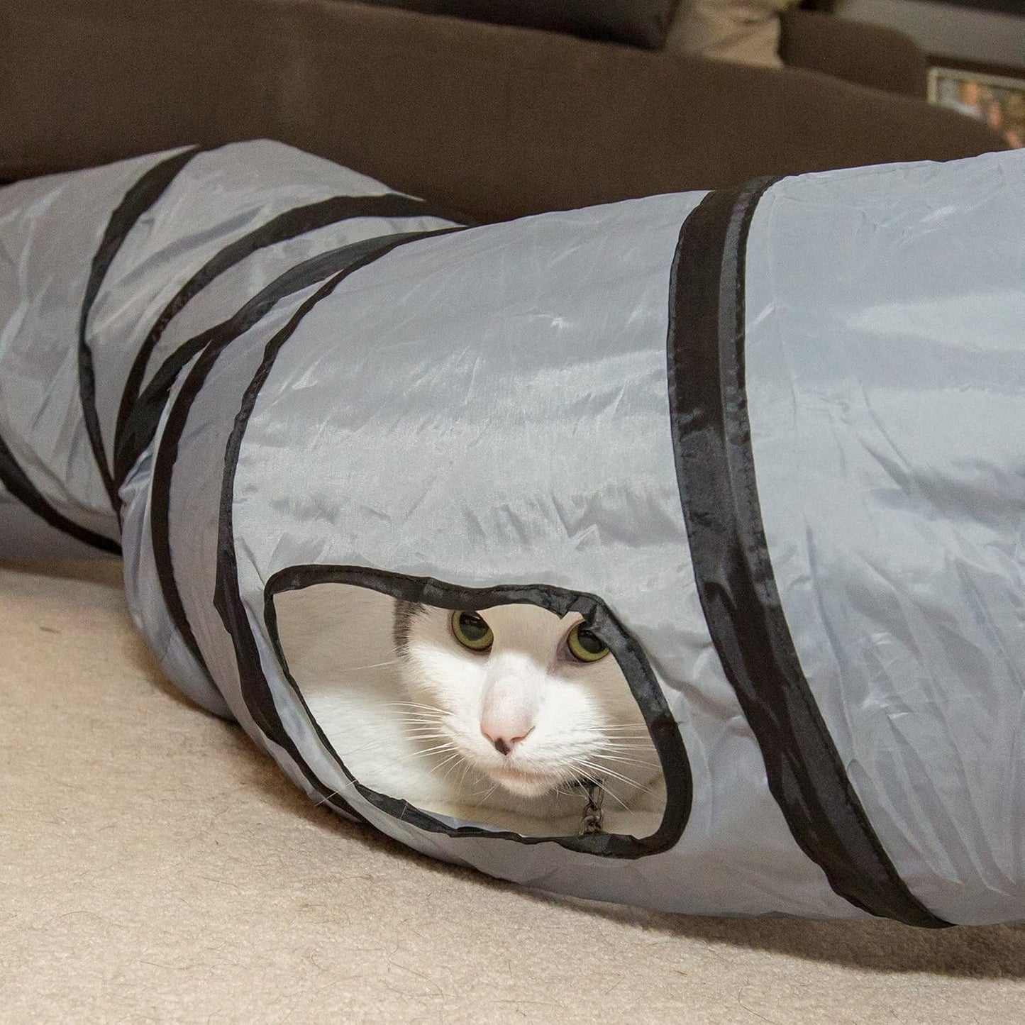 S Way Cat Tunnel