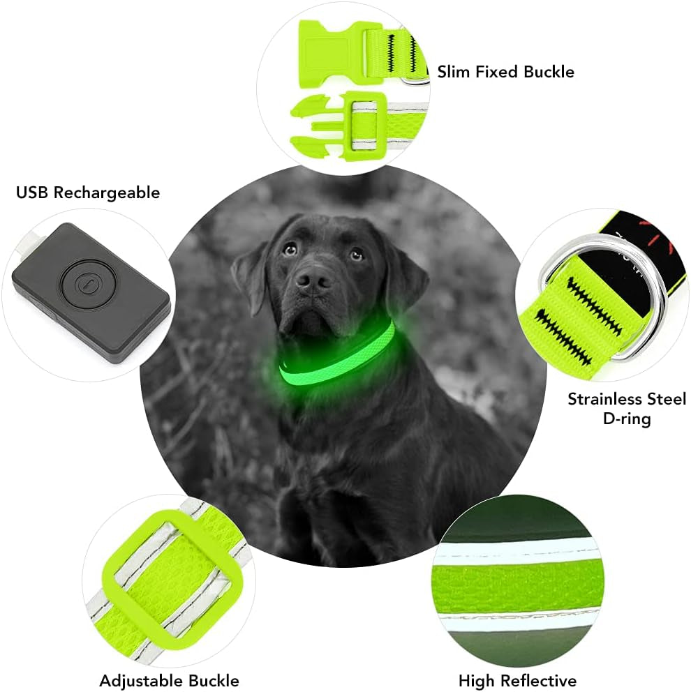 Light up Dog Collar