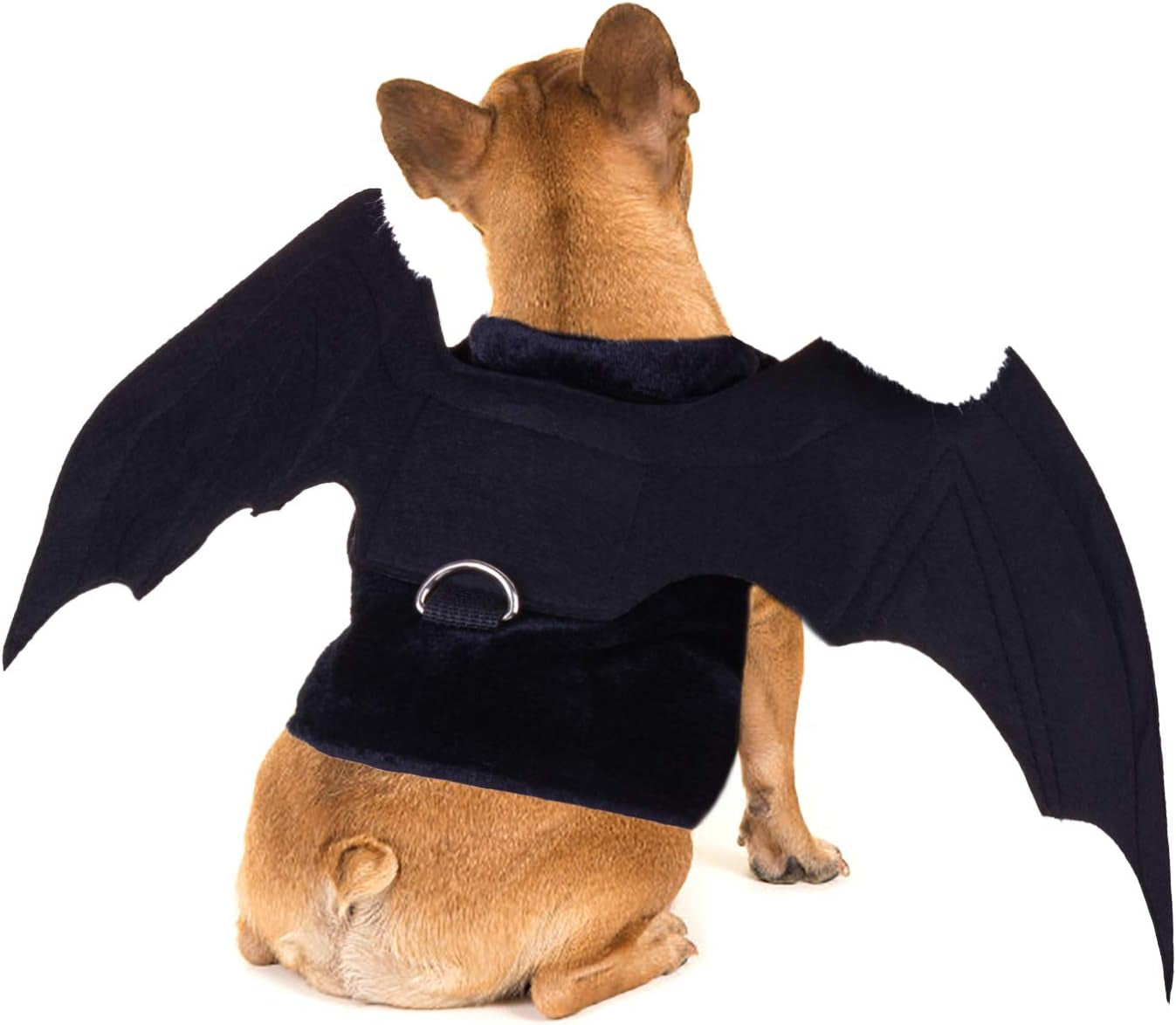 Bat Wings costume for Dogs