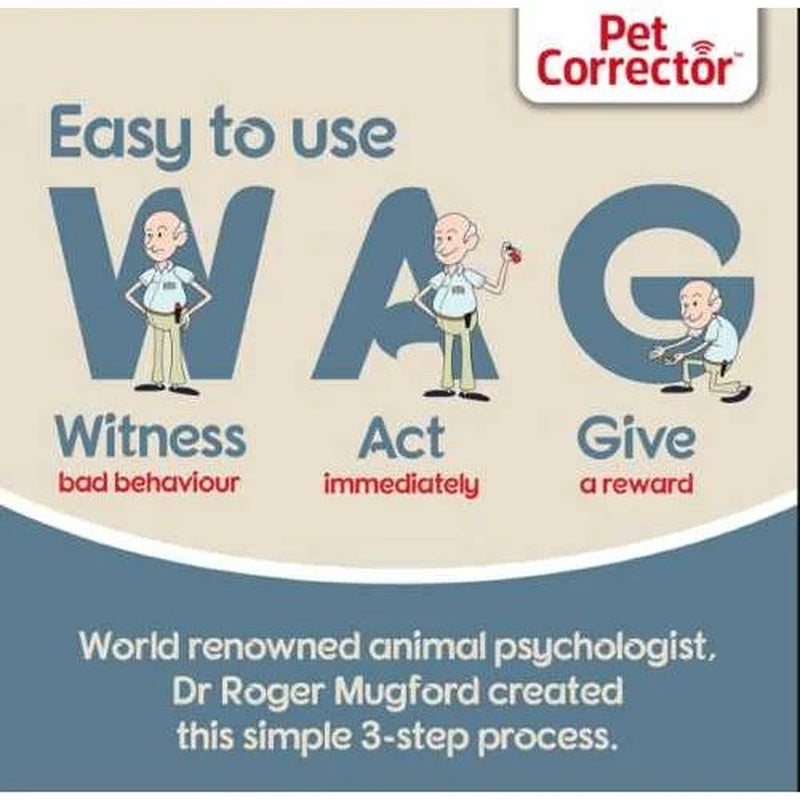 30Ml Pet Corrector