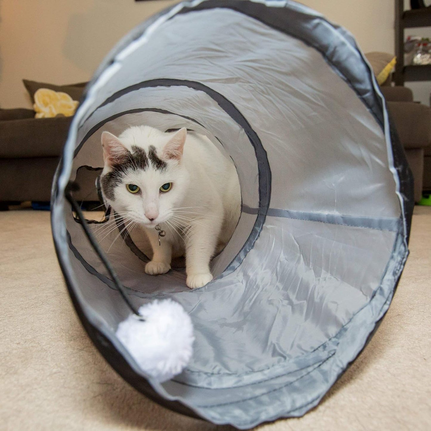 S Way Cat Tunnel