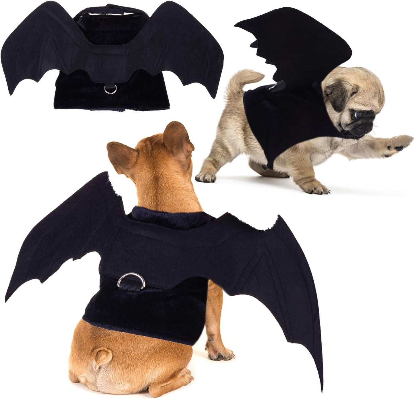 Bat Wings costume for Dogs
