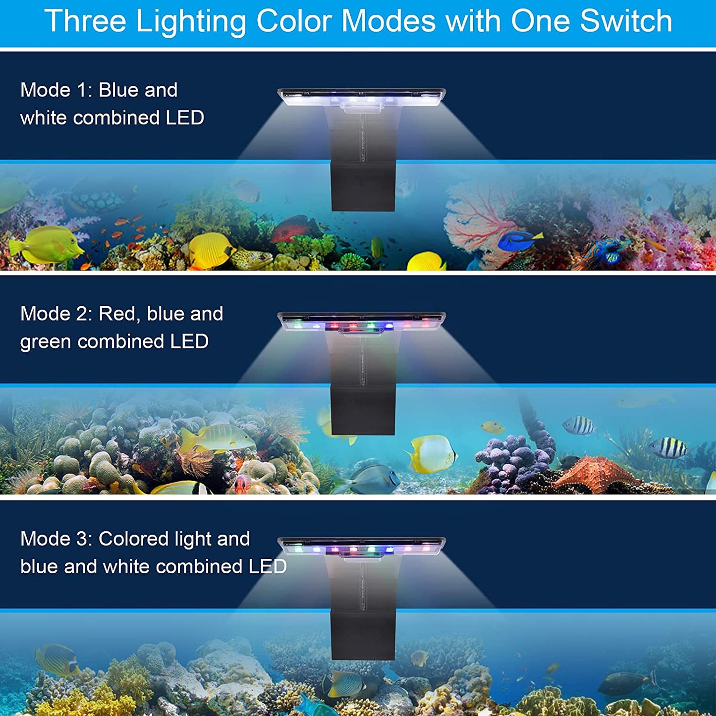 LED Aquarium