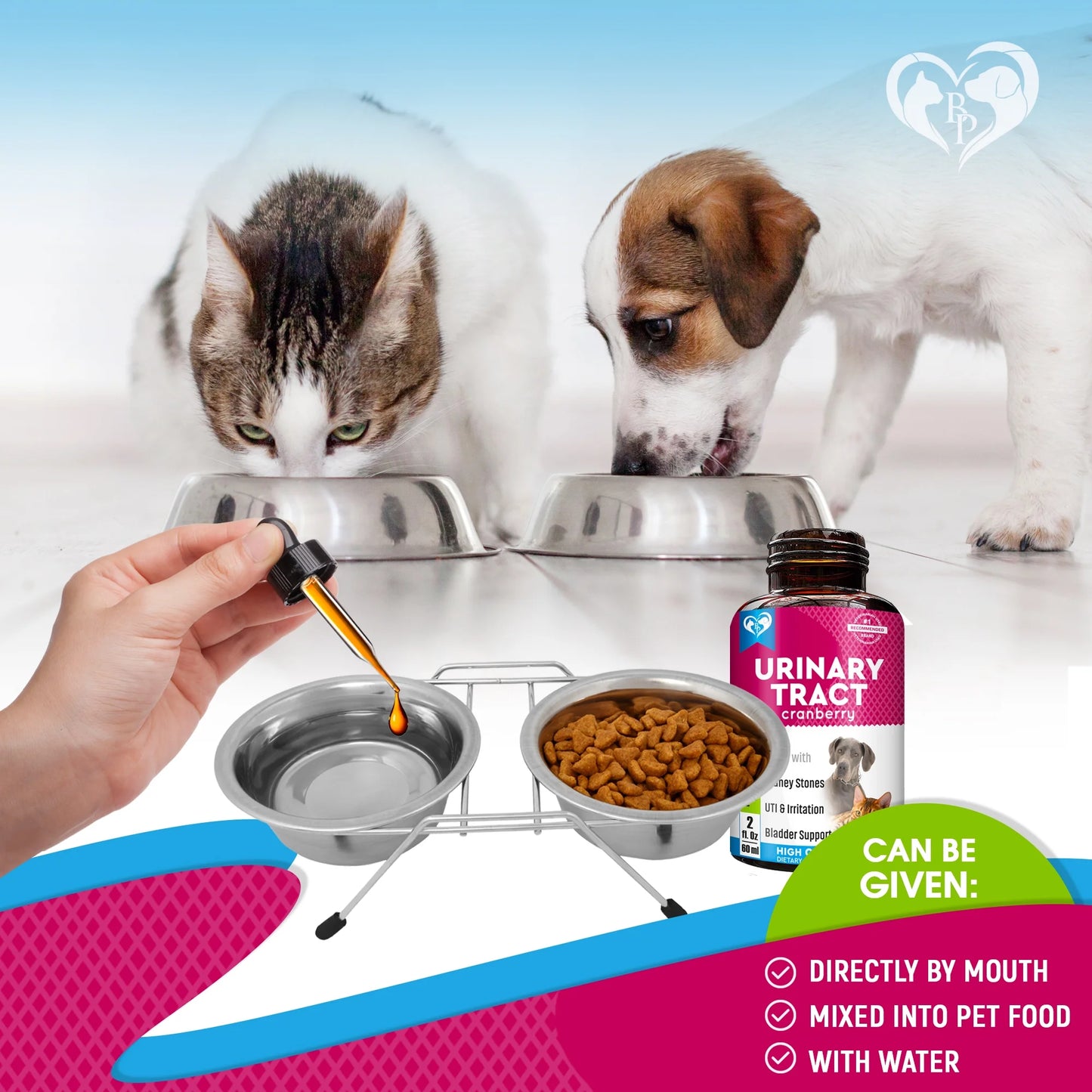 Cat & Dog Urinary Tract Infection Treatment