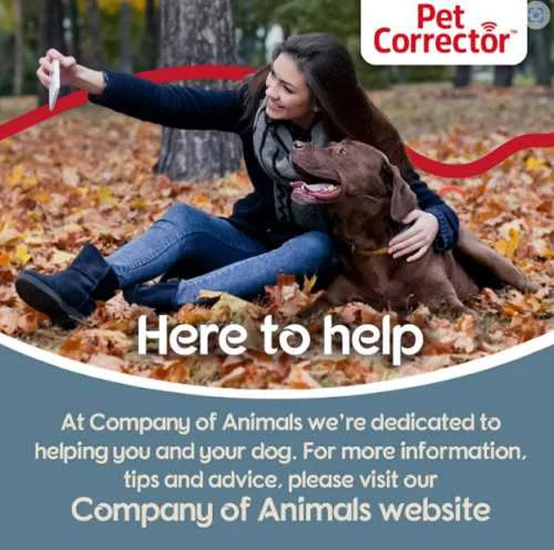 30Ml Pet Corrector