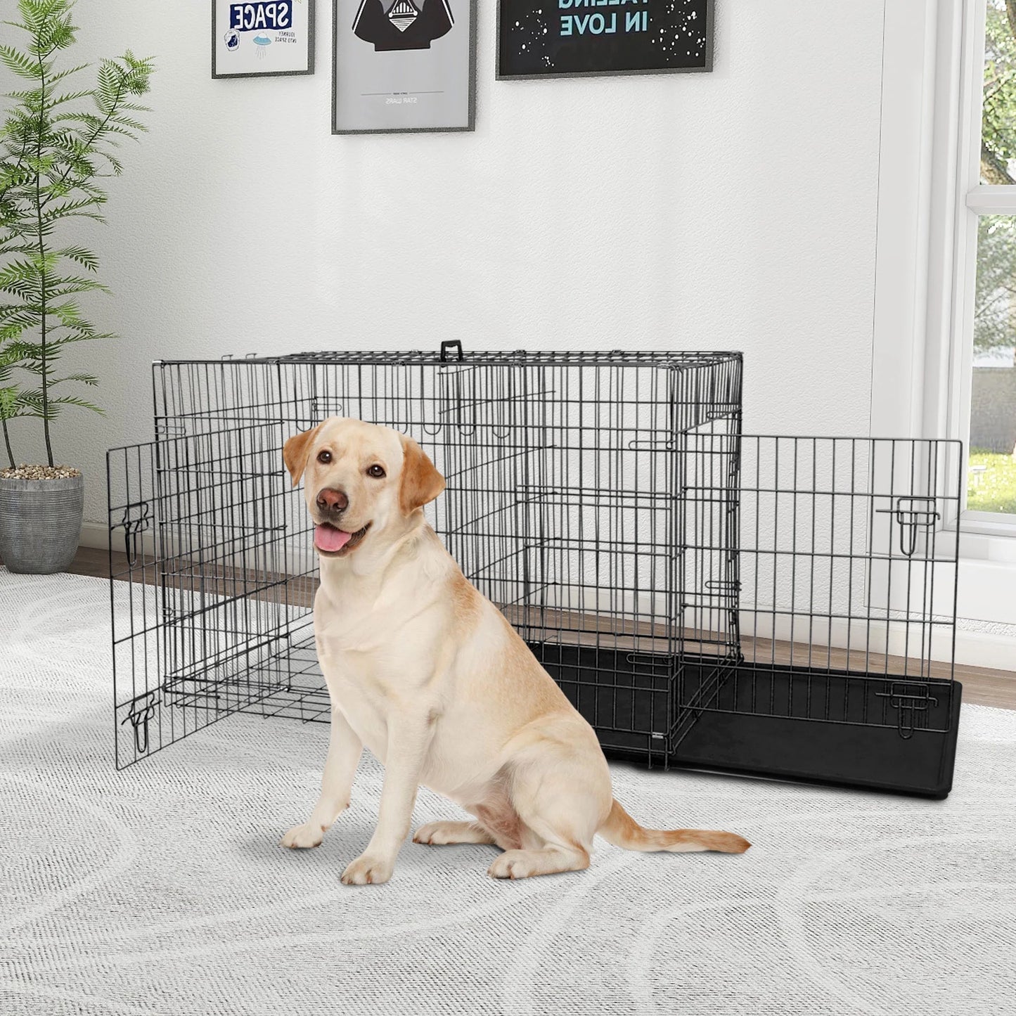 Double Door Dog Cage
