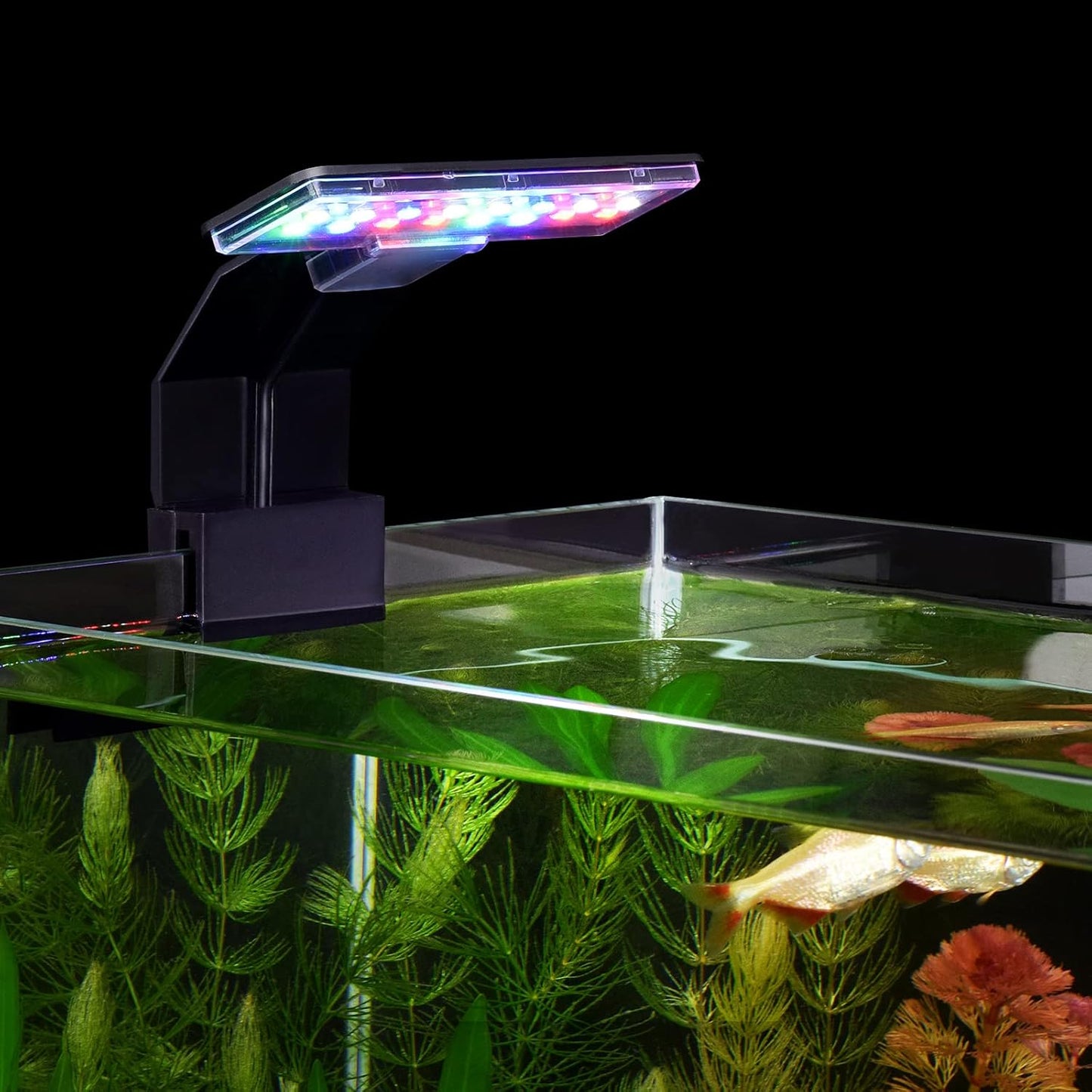 LED Aquarium