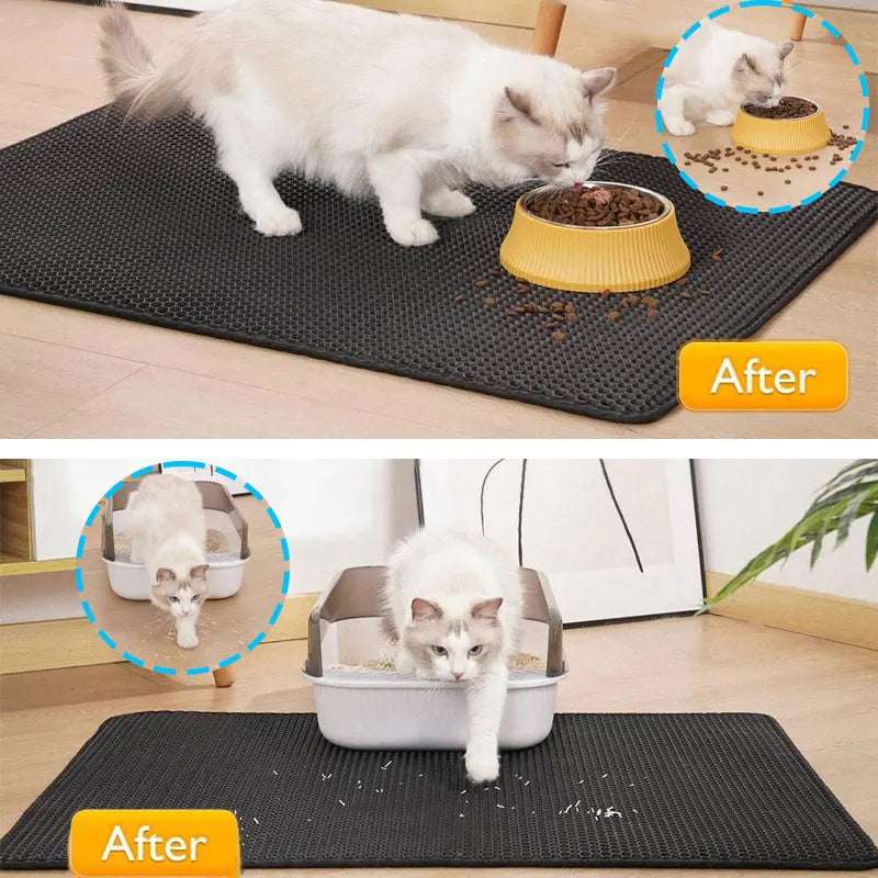 Pet Product