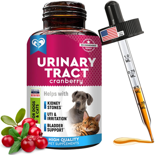 Cat & Dog Urinary Tract Infection Treatment