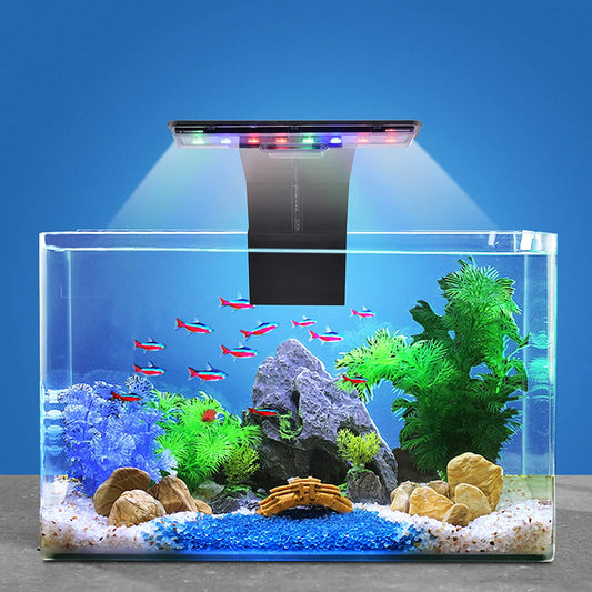 LED Aquarium