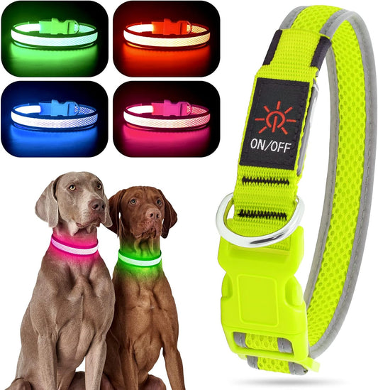 Light up Dog Collar