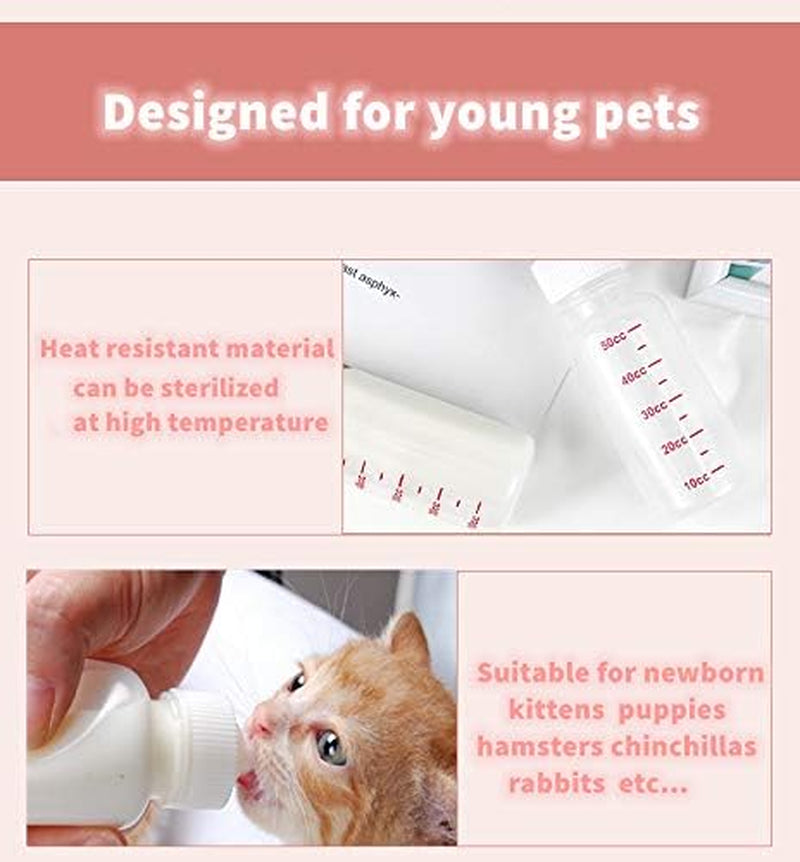 Pet Feeding Kit