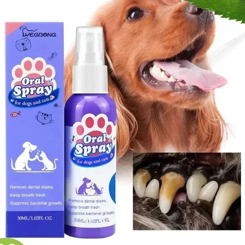 Pet Oral Spray Freshen Breath & Support Oral Hygiene fresher, and more