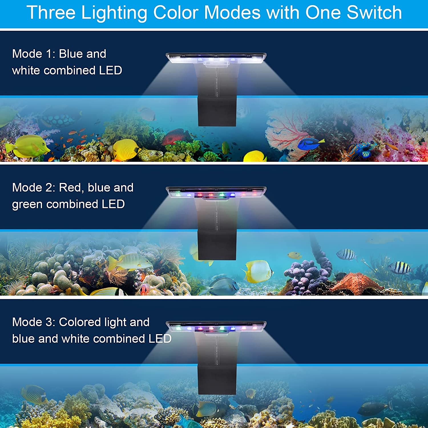LED Aquarium